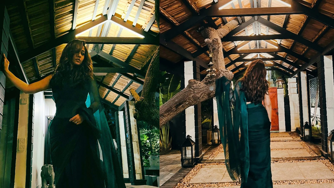 Nayanthara Stunning in a Saree Photos