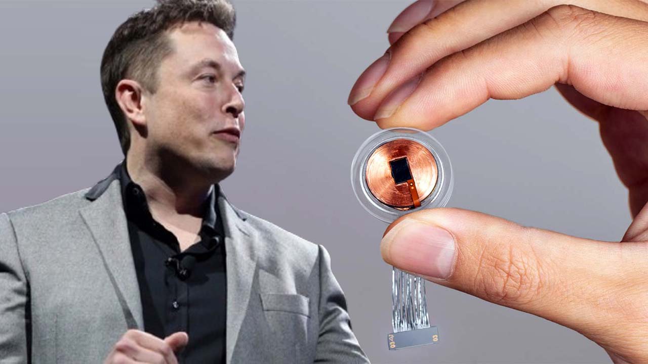 Musk Vision Elon Musk's Neuralink to Give Vision to the Blind with New FDA-Approved ...