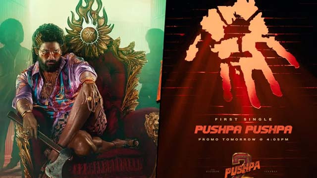Pushpa 2 First Single Promo Out Pushpa 2 First Single Promo Out
