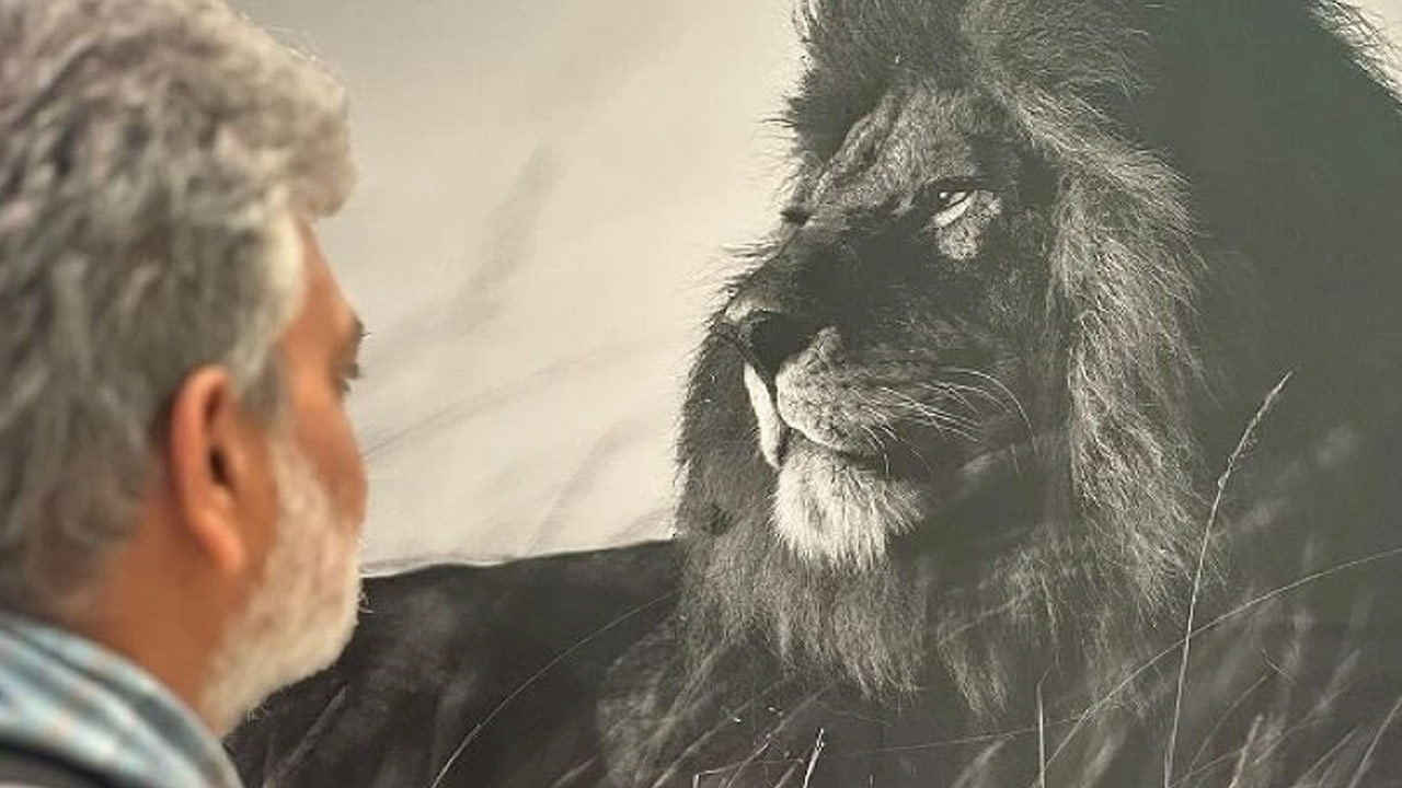 Rajamouli's Lion Post Ignites Mahesh Babu Fans Hype for SSMB29 Rajamouli's Lion Post Ignites Mahesh Babu Fans Hype for SSMB29