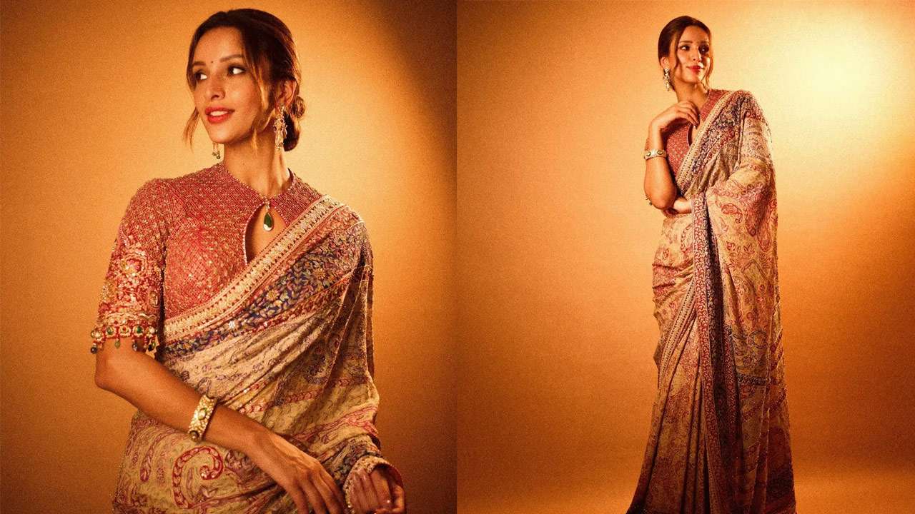 Triptii Dimri Stuns Saree Photos
