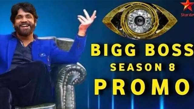 Bigg Boss Season 8 Contestants