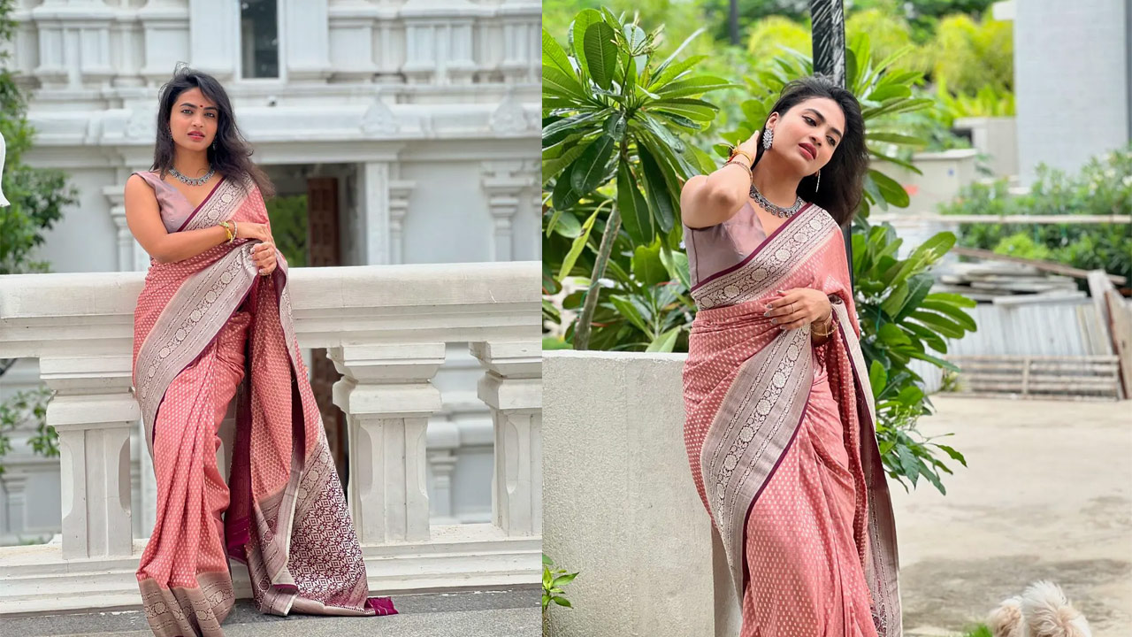 Charming Photos of Harika in a Saree