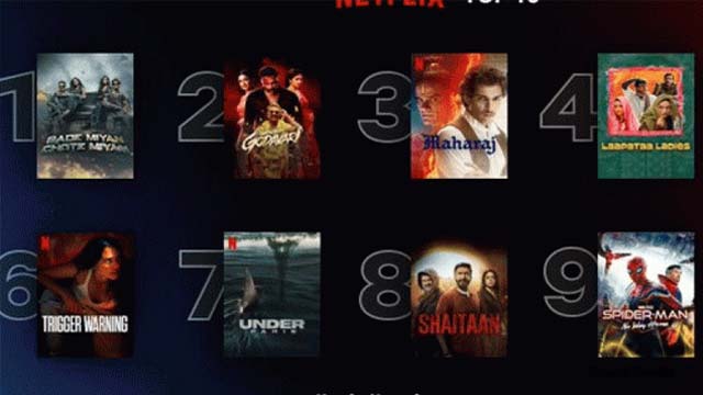 List of most watched Indian movies on Netflix in 2024