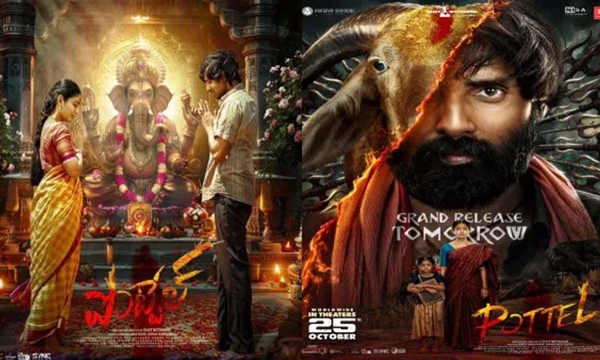 Pottel X Review Insights and Audience Feedback