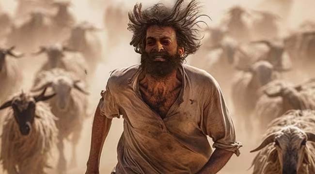 The Goat Life Box Office Collection: Prithviraj's Epic Hits ₹100 Crore Mark! The Goat Life Box Office Collection: Prithviraj's Epic Hits ₹100 Crore Mark!