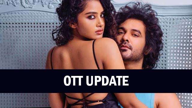 Tillu Square OTT Release Update