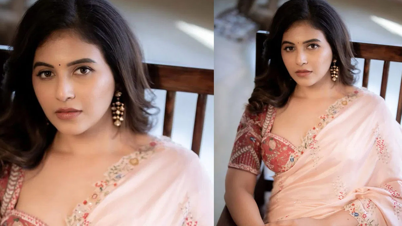Anjali Dazzles in a Sheer Saree, Flaunting Her Elegance