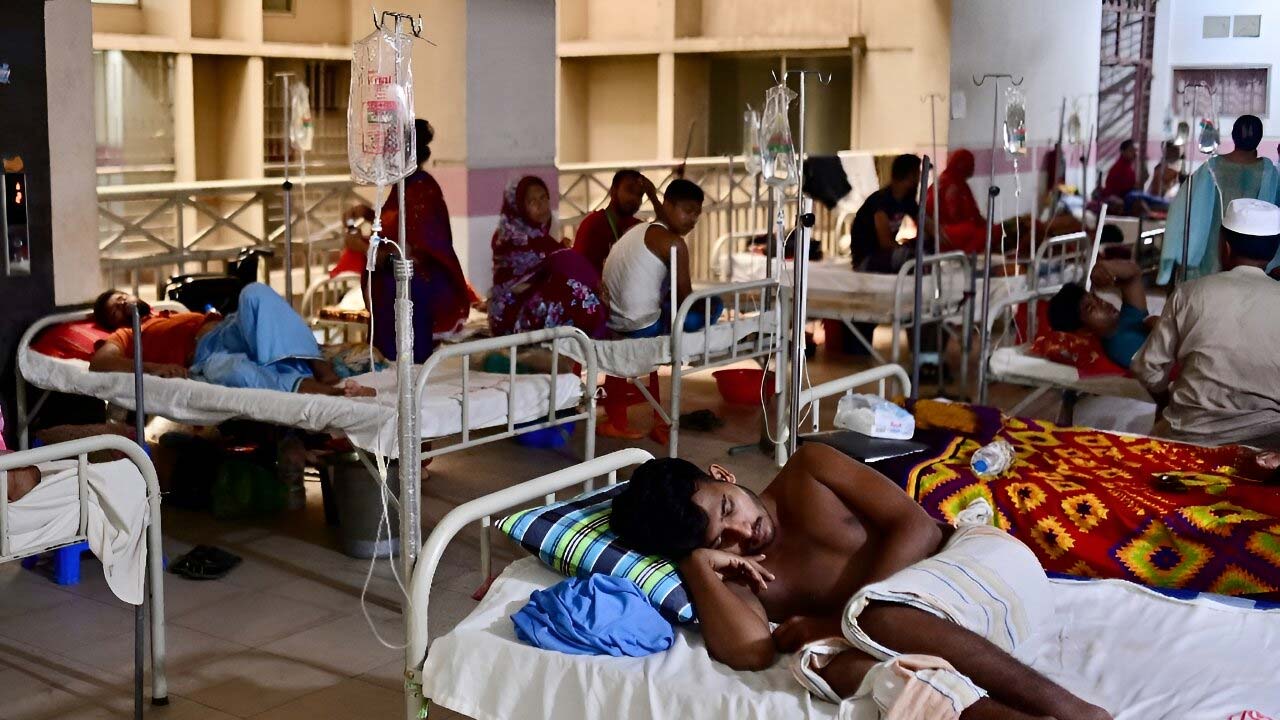 Dengue Outbreak Claims 12 Lives In Bangladesh