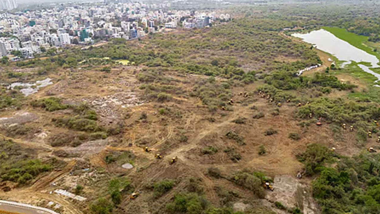 HCU Land Row: Telangana Leader Slams Celebrities Over Viral Protest Videos