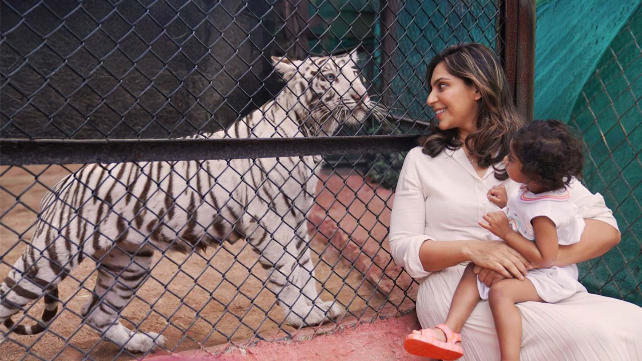 Upasana Thanks Nehru Zoo For Naming Tigress Kleenkara