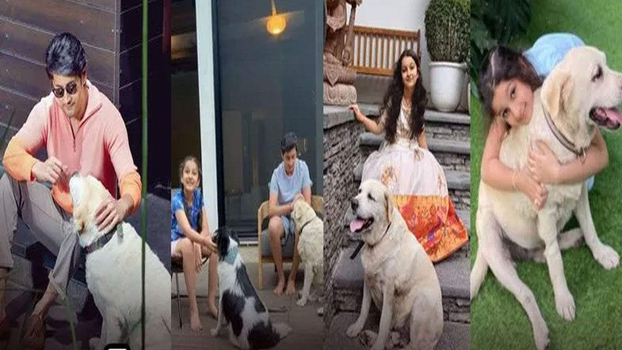 Mahesh Babu Mourns Loss of Pet Dog Nobu as Namrata’s Emotional Post Goes Viral Mahesh Babu Mourns Loss of Pet Dog Nobu as Namrata’s Emotional Post Goes Viral