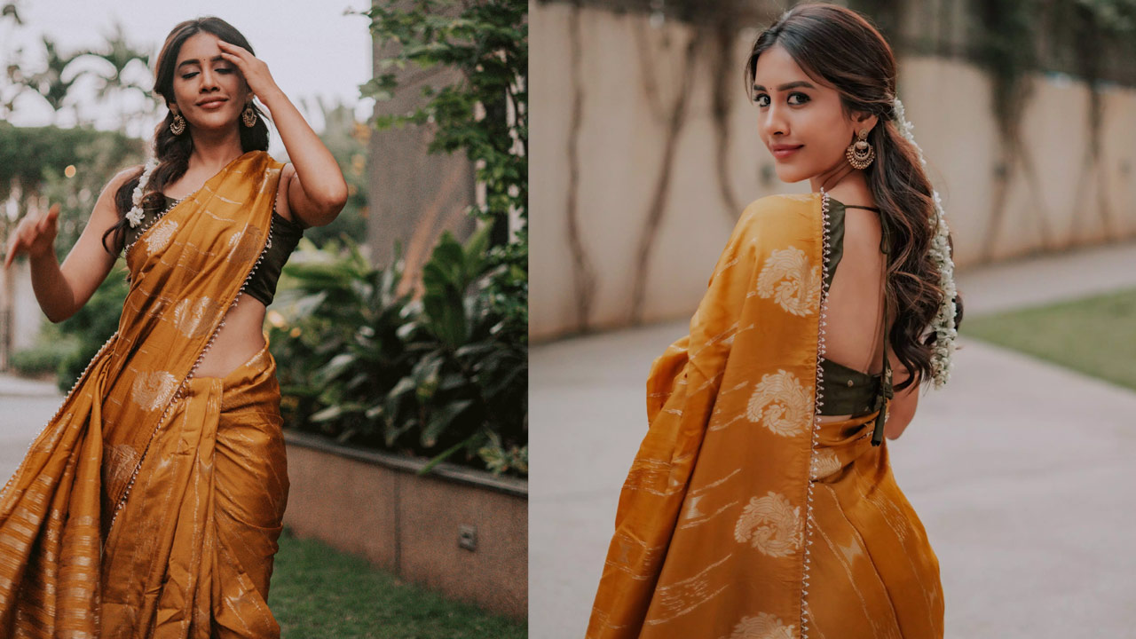 Nabha Natesh Looks Super in a Saree