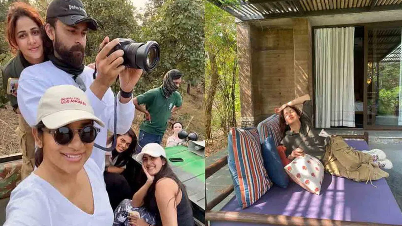 Mega Family's New Year Adventure in the Jungle Mega Family's New Year Adventure in the Jungle