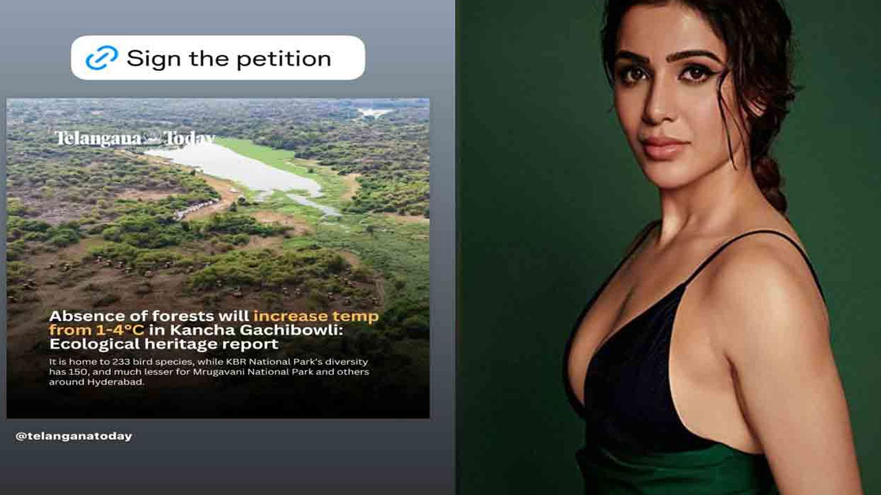Samantha Voices Support for HCU Land Protection Protests Samantha Voices Support for HCU Land Protection Protests