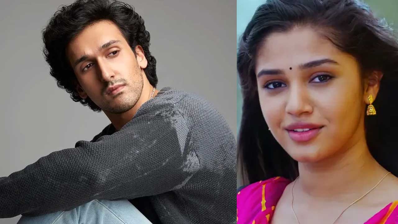 Will Krithi Shetty Shine in Bollywood Opposite a Nepo Star?