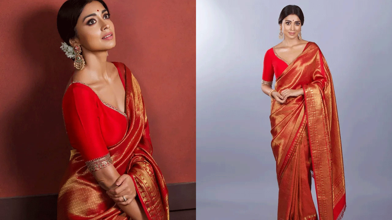 Sriya's Stunning Saree Look Will Leave You Speechless