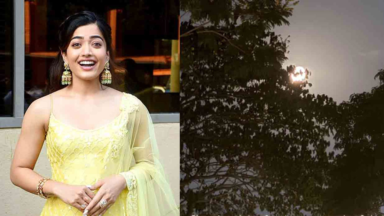 Rashmika Mandanna Begins Night Shoots For Horror Film 'Thama' Rashmika Mandanna Begins Night Shoots For Horror Film 'Thama'