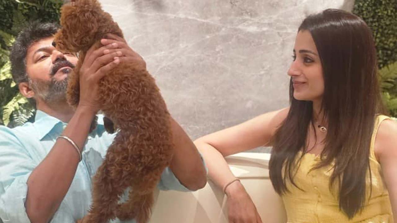 Thalapathy Vijay And Trisha Dating? Photo Goes Viral On Birthday