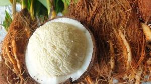 Health Benefits of Coconut Flower