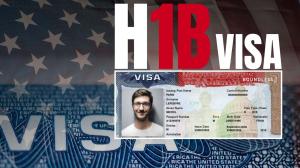 Indian IT Firms Cut H1B Visas