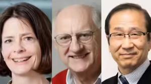 Nobel Prize 2025: Complete List of Winners in Medicine, Physics, Chemistry