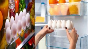 fridge egg safety tips