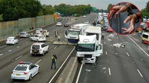 Indian National in US Illegally Arrested for Multi-Vehicle Crash in California